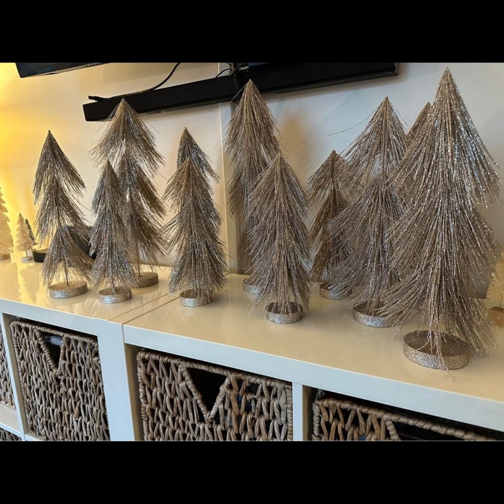 Bottle brushes